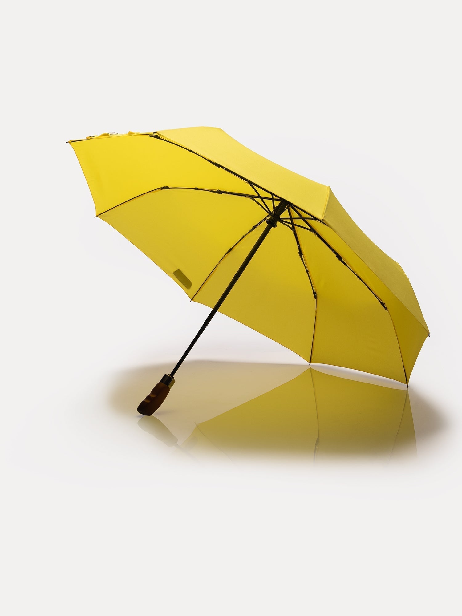 The Compact